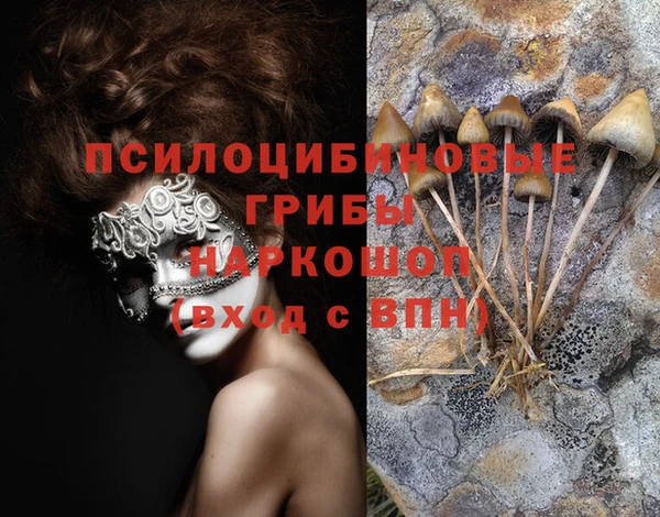 стафф Михайлов
