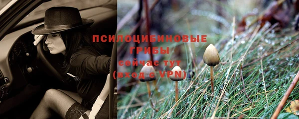 дмт Надым