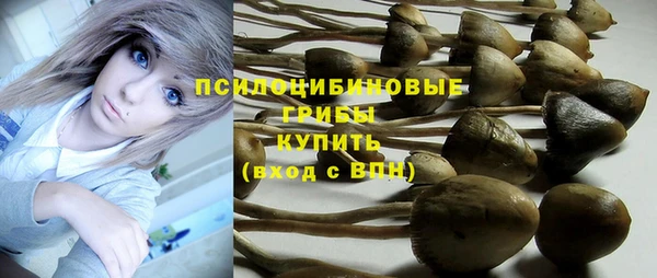 стафф Дмитров