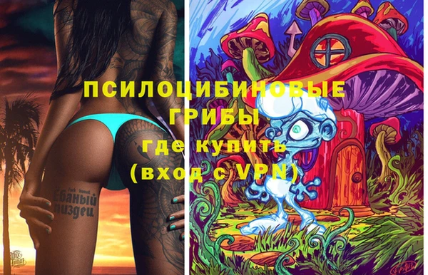 стафф Михайлов