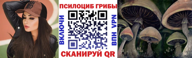 хочу   Нижнекамск  Галлюциногенные грибы мицелий 