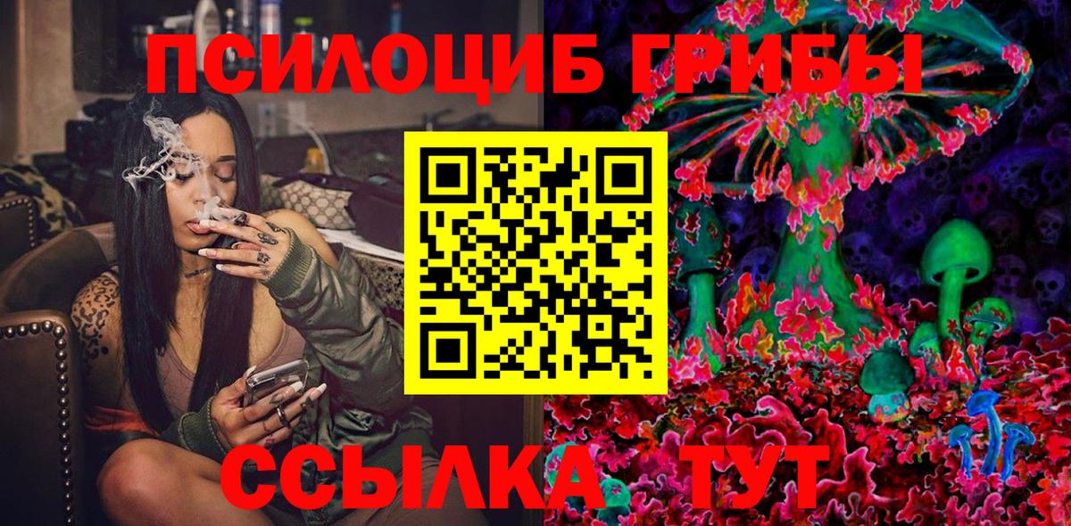 купить  цена  Нижнекамск  Псилоцибиновые грибы GOLDEN TEACHER  Галлюциногенные грибы мухоморы 