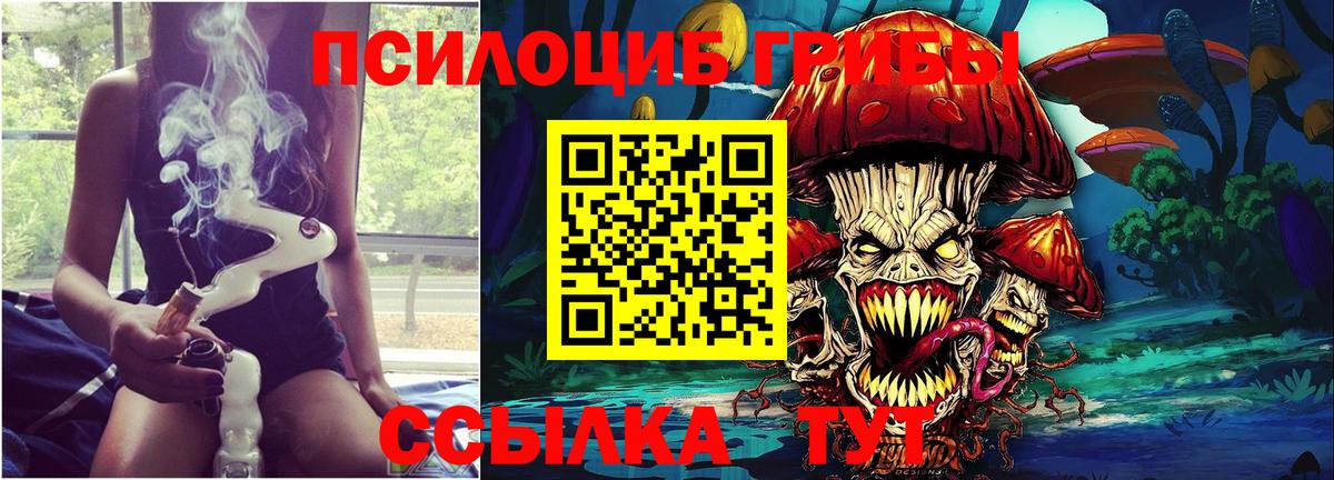где купить наркоту  Вход с VPN  Нижнекамск  Галлюциногенные грибы Magic Shrooms 