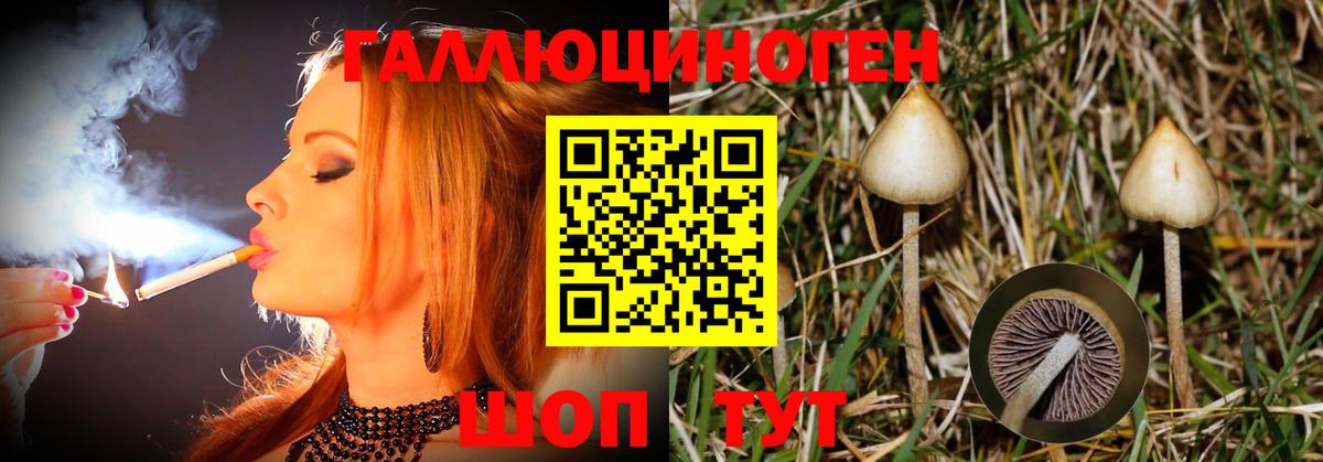 Псилоцибиновые грибы MAGIC MUSHROOMS Нижнекамск