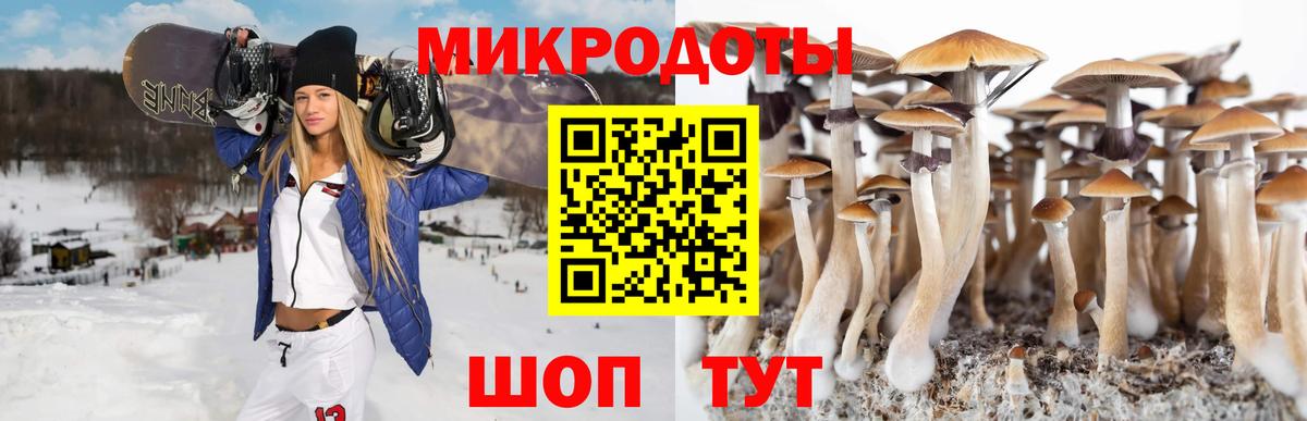 Псилоцибиновые грибы Magic Shrooms Нижнекамск